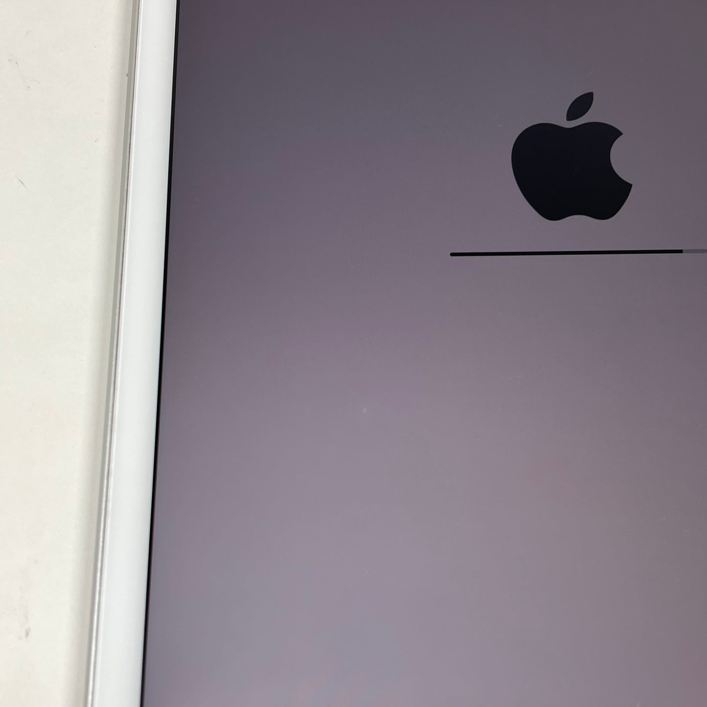 Unlocked Apple iPad Mini 5th Gen 256GB Silver MUXN2LL/A