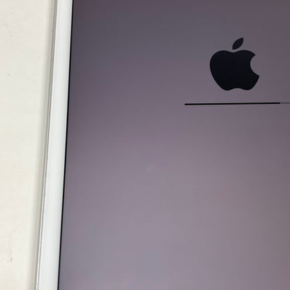 Unlocked Apple iPad Mini 5th Gen 256GB Silver MUXN2LL/A