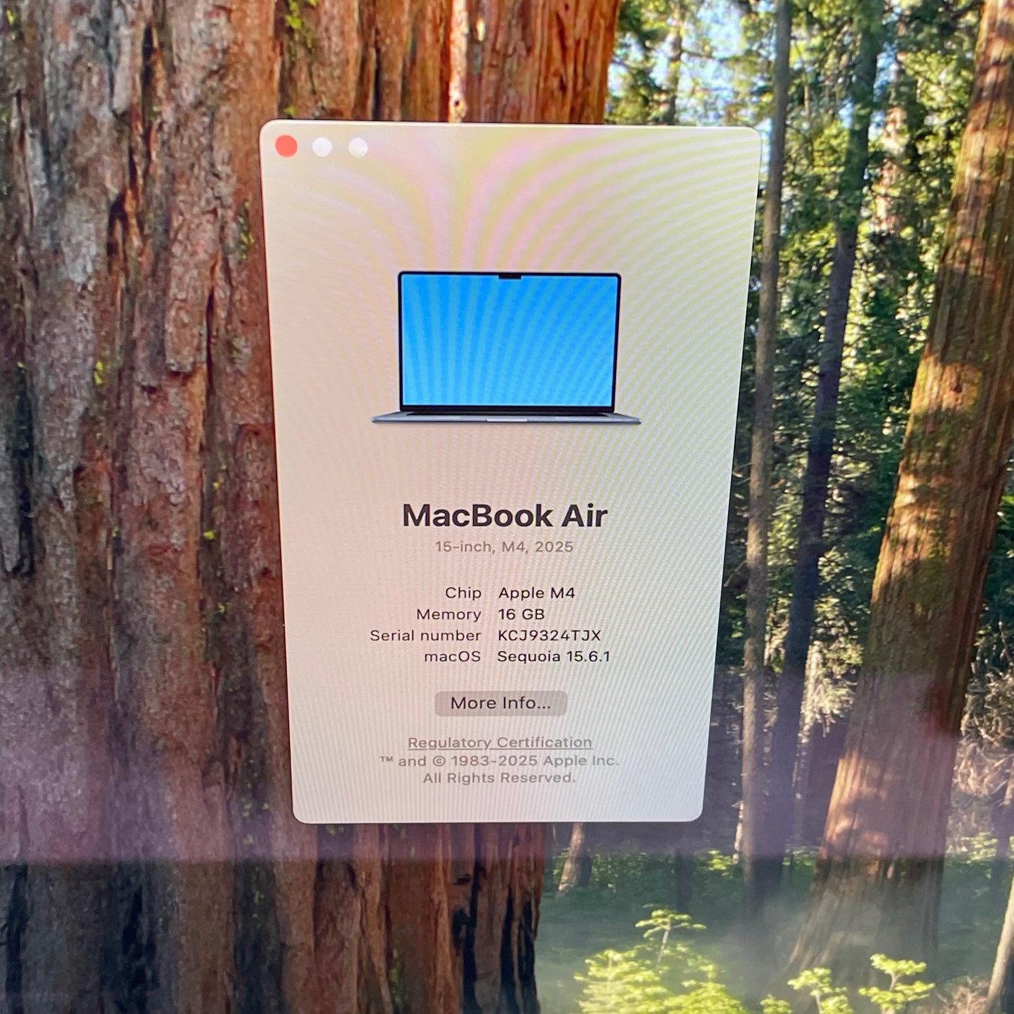 2025 Apple MacBook Air 15" M4 10C GPU 4.5GHz 16GB RAM 256GB SSD MW1L3LL/A