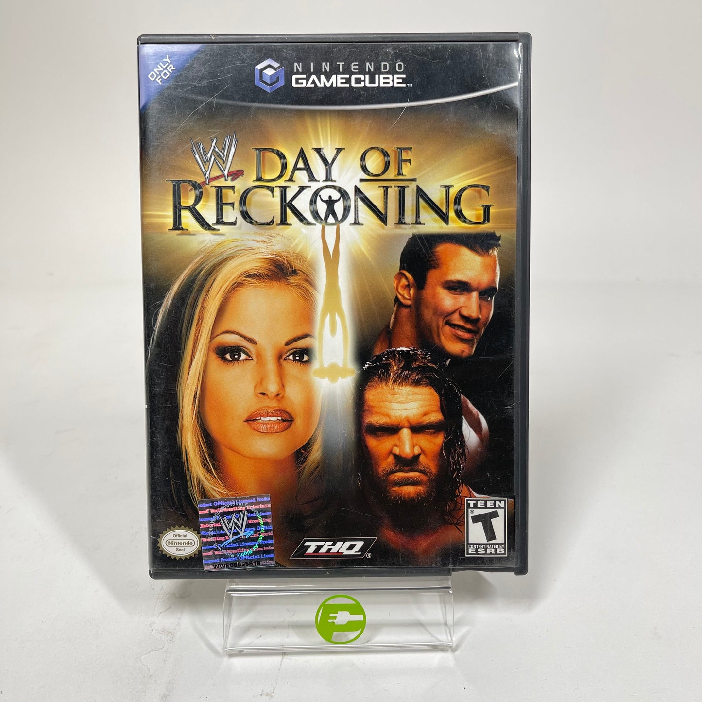 WWE Day of Reckoning (Nintendo GameCube, 2004)