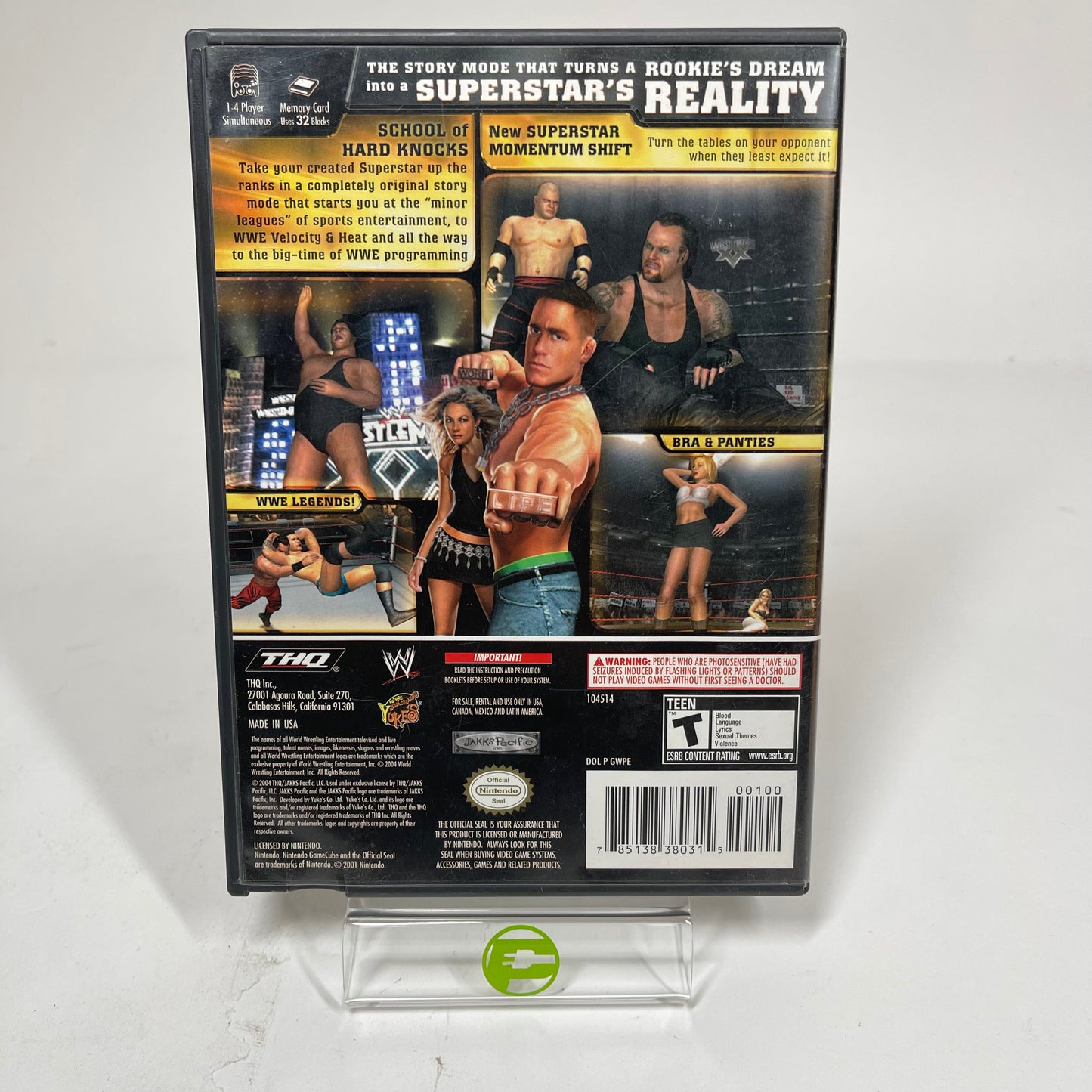 WWE Day of Reckoning (Nintendo GameCube, 2004)